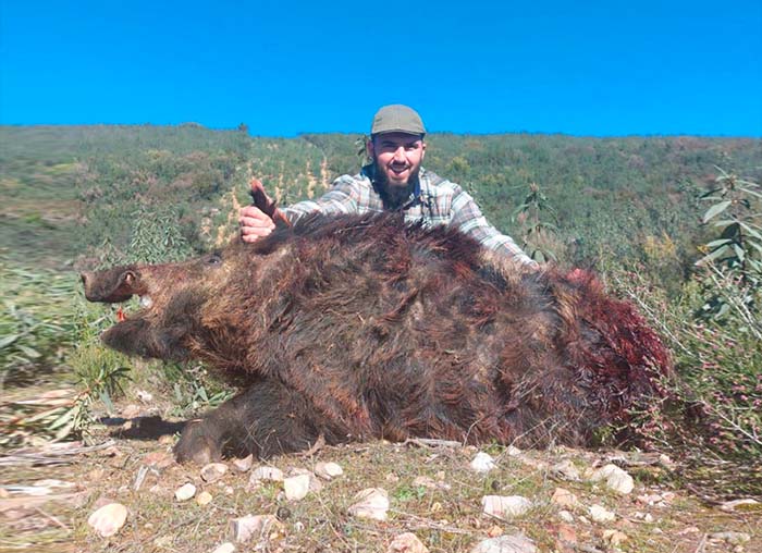 Monteria en El Barrancón